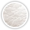 DS 02 Delta - čirá
